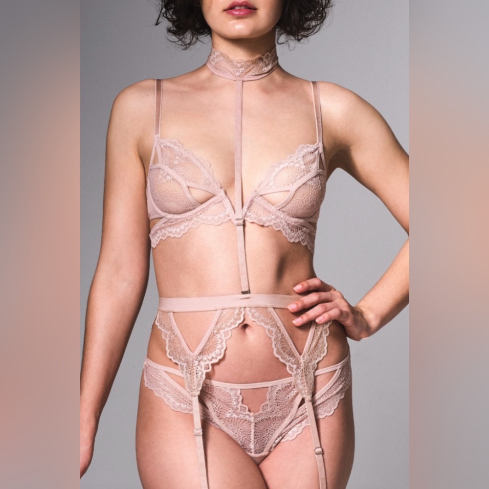 Thistle and Spire Kane V-Wire bra and Kane Garter Set in Blush